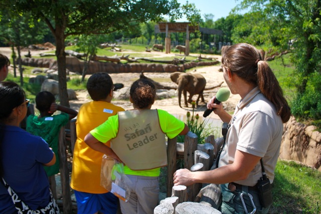 Dallas Zoo Elephant Trainer