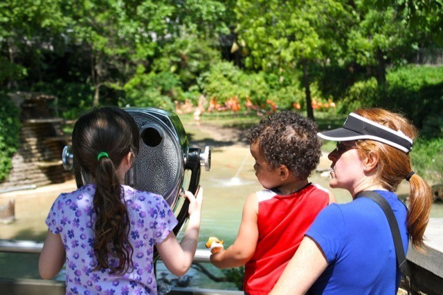 Kids at Dallas Zoo